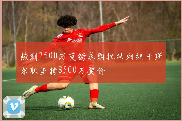 热刺7500万英镑求购托纳利纽卡斯尔联坚持8500万要价