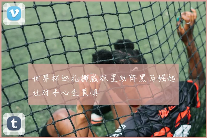 世界杯巡礼挪威双星助阵黑马崛起让对手心生畏惧